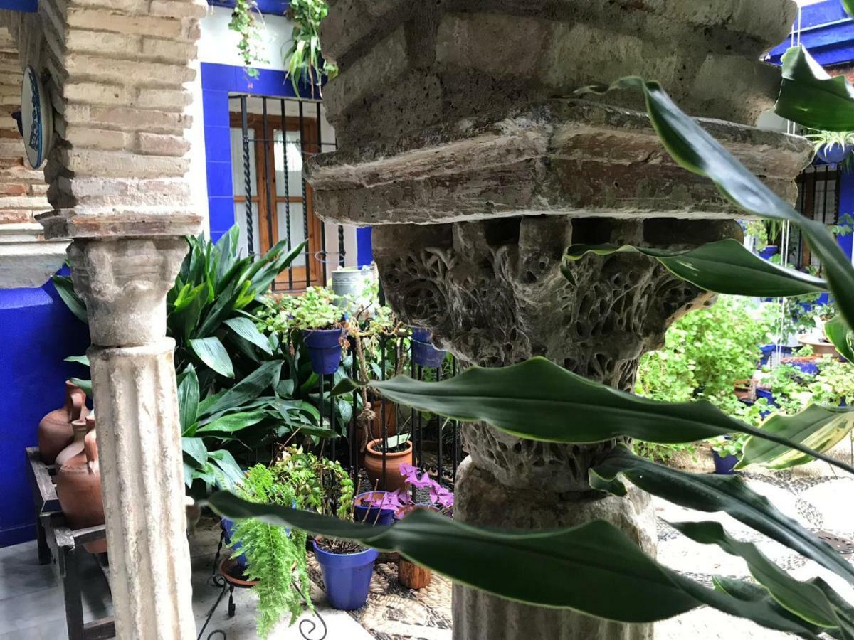 Alojamiento Casa Tipica De Cordoba Exterior photo